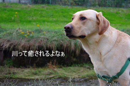 BlogPaint