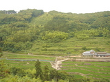 7bc2f605.jpg