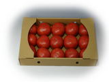 tomato2