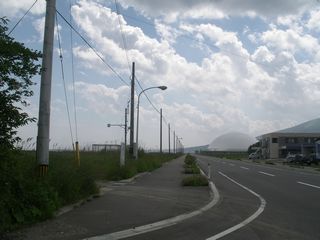 写真1