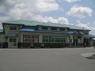 写真1