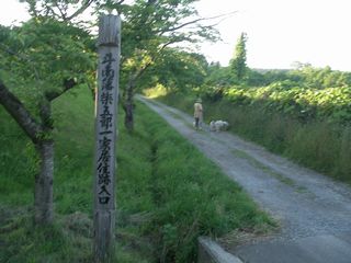 写真1