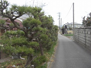 021