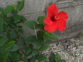 049
