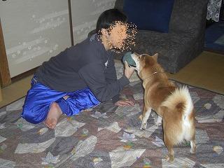 019