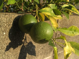 012