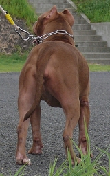 yanasesan 023