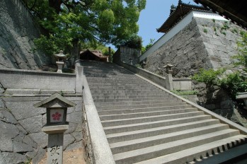 0805030145.jpg