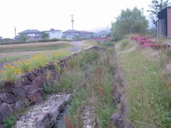 s-20080610056.jpg