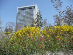 7a028436.JPG
