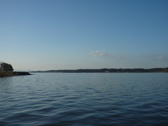 ba081849.JPG