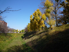 c623f264.JPG