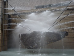 f5879729.JPG