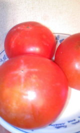 a753e701.JPG