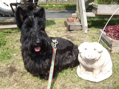2008050604