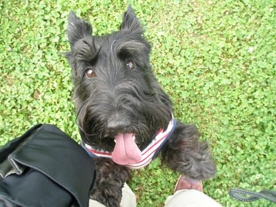 080629-5