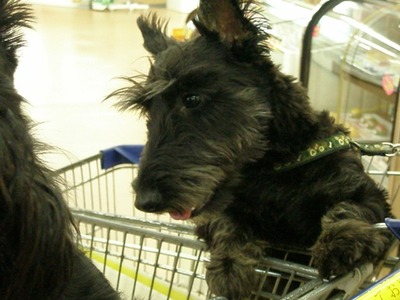080719