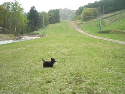 080504-2