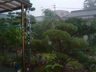 激しい雨1