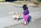 まる