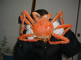 旨そうな蟹!