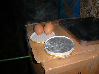 ������6P������