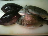 おいしい魚 (1)