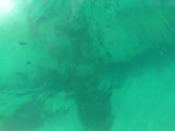 マハニャガ島プロペラ
