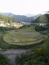 棚田
