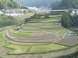 棚田