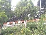 保津峡下り (10)