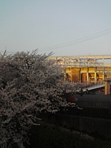 62bf07df.jpg