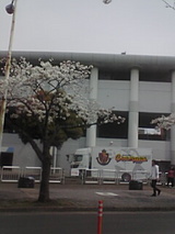67c80572.jpg