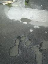 89c22b03.jpg