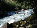 308d0435.JPG
