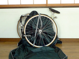 317c6234.JPG