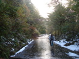 f925f5d1.JPG