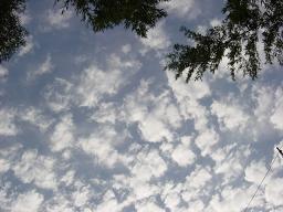 空