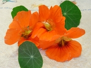 R0012108_�ʥ������������