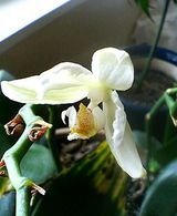 60f39877.jpg