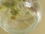�Х��뤬�Ϥ�ʤ�2