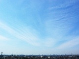 20050328_�Ͽ̱���