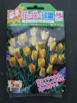 R0010802_���塼��å�_�ۥ󥭡��ȥ󥯤ε庬