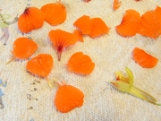R0012112_�ʥ���������β֤Ӥ�