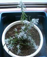 ��٥����_20060827