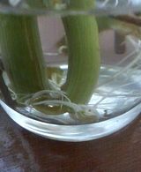 �ǥ���ȯ��_����2_20070312