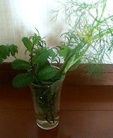 �ǥ���ȯ��_����1_20070312