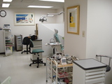 11b159cf.jpg