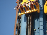 313