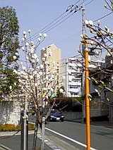 32184120.jpg